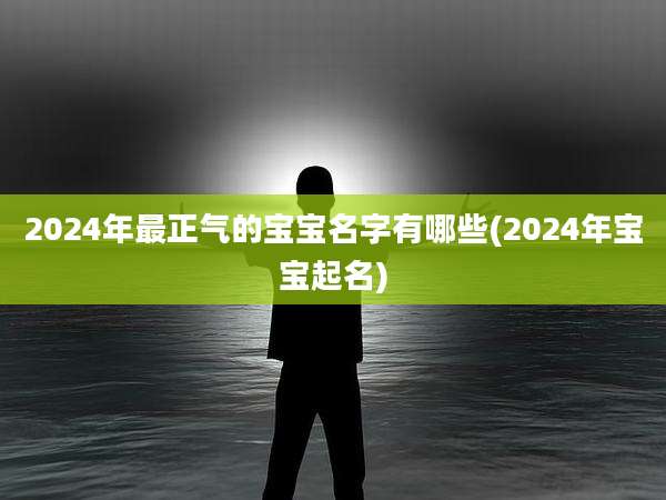 2024年最正气的宝宝名字有哪些(2024年宝宝起名)