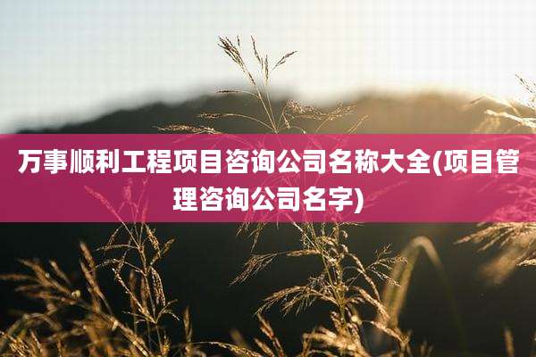 万事顺利工程项目咨询公司名称大全(项目管理咨询公司名字)
