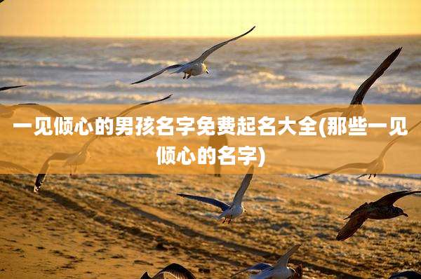 一见倾心的男孩名字免费起名大全(那些一见倾心的名字)