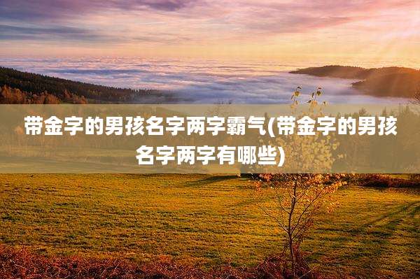 带金字的男孩名字两字霸气(带金字的男孩名字两字有哪些)