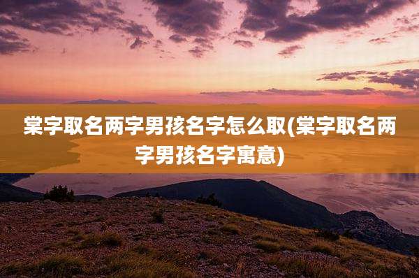 棠字取名两字男孩名字怎么取(棠字取名两字男孩名字寓意)