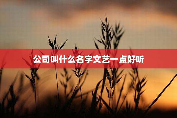 公司叫什么名字文艺一点好听