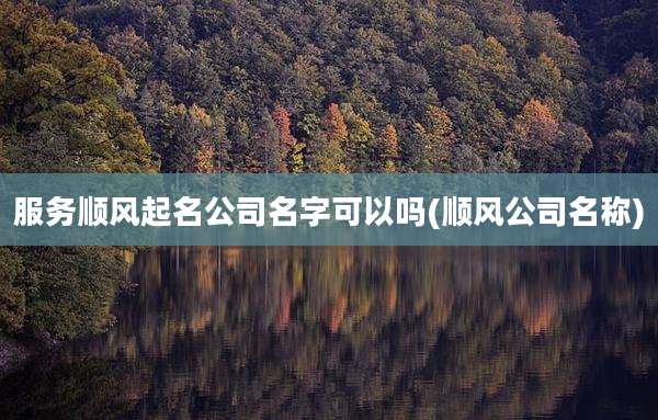 服务顺风起名公司名字可以吗(顺风公司名称)