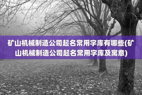矿山机械制造公司起名常用字库有哪些(矿山机械制造公司起名常用字库及寓意)