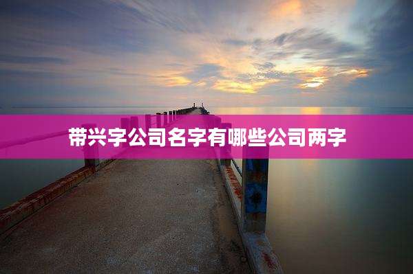 带兴字公司名字有哪些公司两字