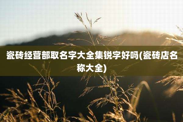 瓷砖经营部取名字大全集锐字好吗(瓷砖店名称大全)
