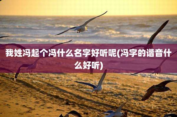 我姓冯起个冯什么名字好听呢(冯字的谐音什么好听)