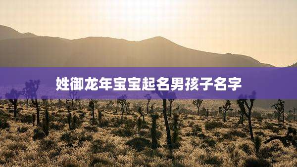 姓御龙年宝宝起名男孩子名字