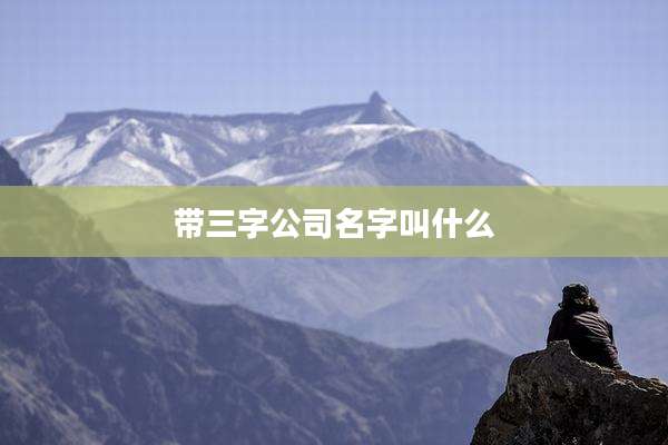 带三字公司名字叫什么