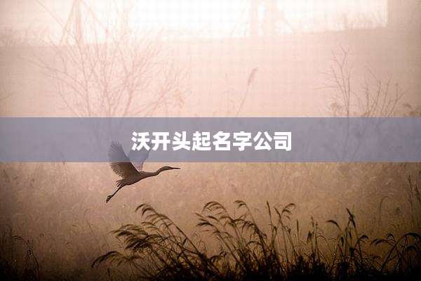 沃开头起名字公司