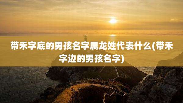 带禾字底的男孩名字属龙姓代表什么(带禾字边的男孩名字)