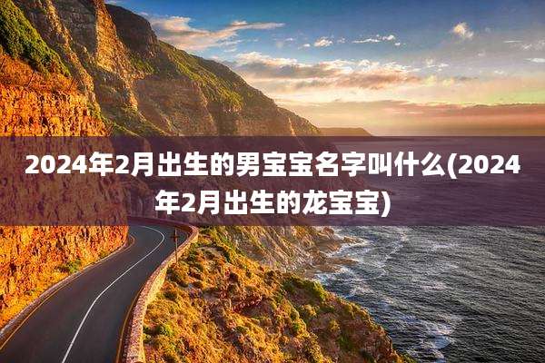 2024年2月出生的男宝宝名字叫什么(2024年2月出生的龙宝宝)