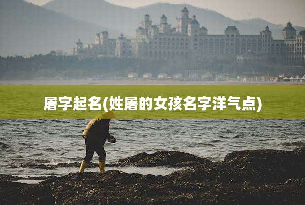 屠字起名(姓屠的女孩名字洋气点)