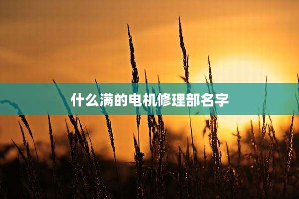 什么满的电机修理部名字
