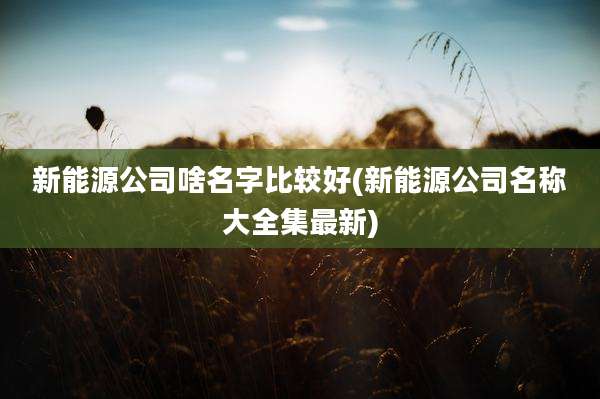 新能源公司啥名字比较好(新能源公司名称大全集最新)