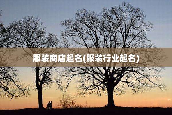 服装商店起名(服装行业起名)