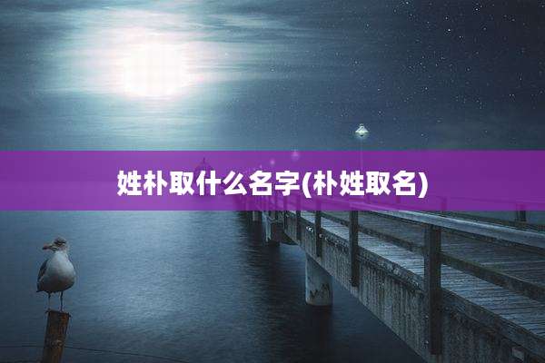 姓朴取什么名字(朴姓取名)