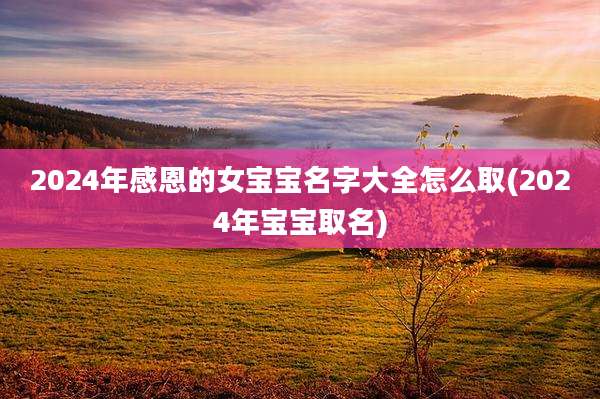2024年感恩的女宝宝名字大全怎么取(2024年宝宝取名)