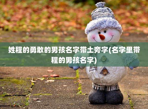 姓程的勇敢的男孩名字带土旁字(名字里带程的男孩名字)