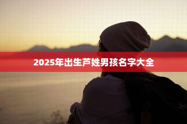 2025年出生芦姓男孩名字大全