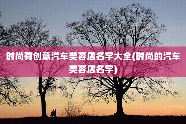 时尚有创意汽车美容店名字大全(时尚的汽车美容店名字)