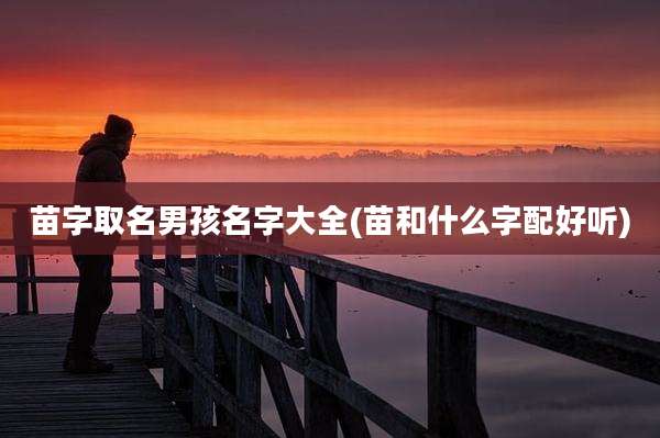 苗字取名男孩名字大全(苗和什么字配好听)