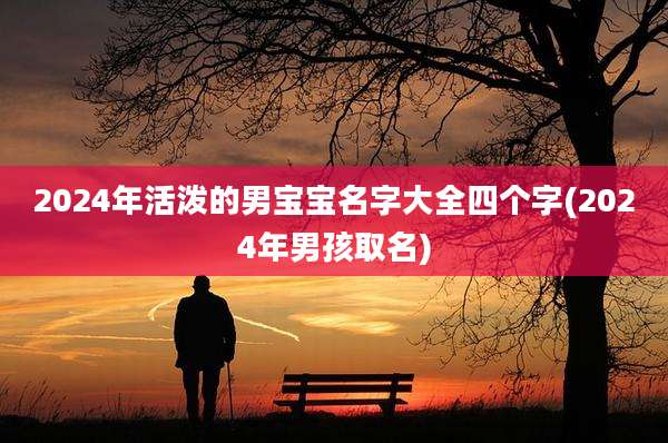 2024年活泼的男宝宝名字大全四个字(2024年男孩取名)
