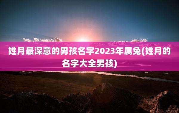 姓月最深意的男孩名字2023年属兔(姓月的名字大全男孩)