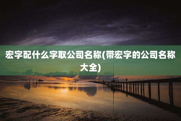 宏字配什么字取公司名称(带宏字的公司名称大全)