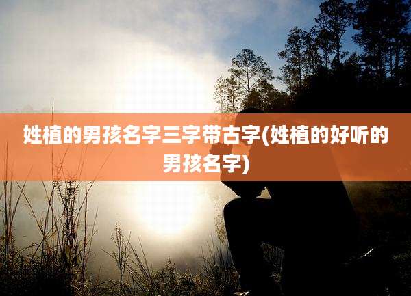 姓植的男孩名字三字带古字(姓植的好听的男孩名字)