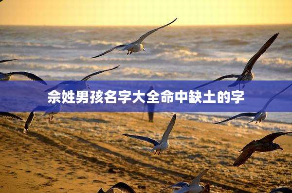 佘姓男孩名字大全命中缺土的字