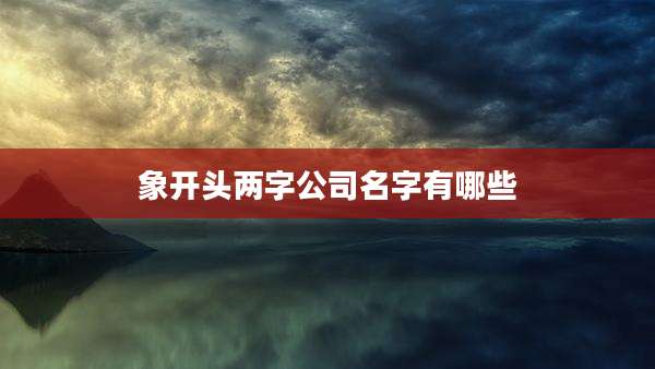 象开头两字公司名字有哪些