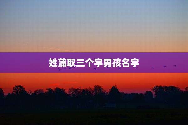 姓蒲取三个字男孩名字