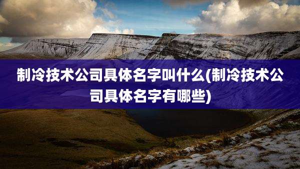 制冷技术公司具体名字叫什么(制冷技术公司具体名字有哪些)