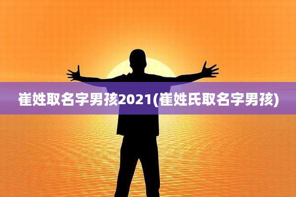 崔姓取名字男孩2021(崔姓氏取名字男孩)