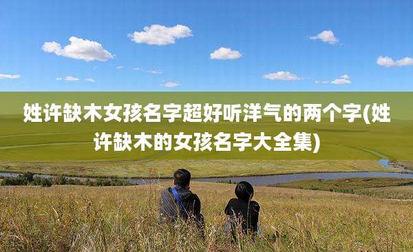 姓许缺木女孩名字超好听洋气的两个字(姓许缺木的女孩名字大全集)