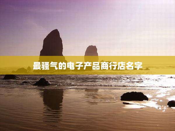 最骚气的电子产品商行店名字