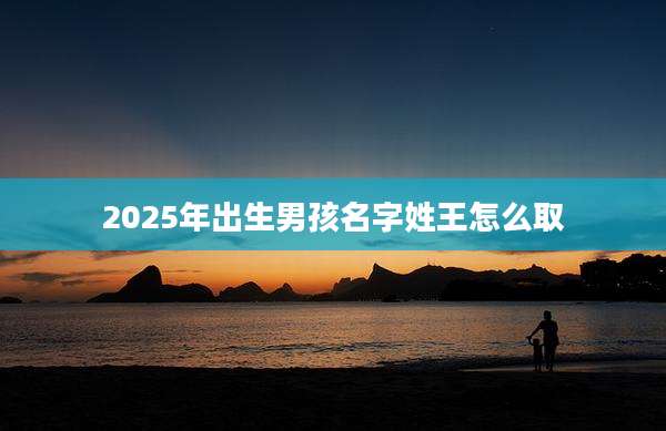 2025年出生男孩名字姓王怎么取