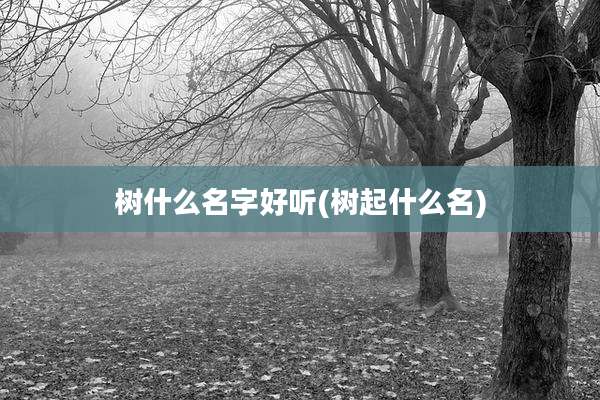 树什么名字好听(树起什么名)