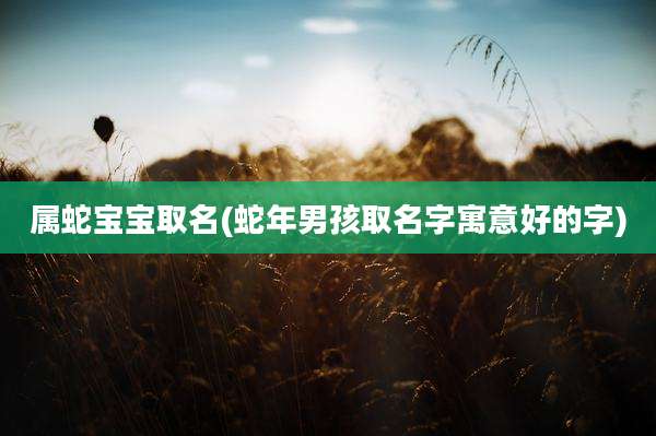 属蛇宝宝取名(蛇年男孩取名字寓意好的字)