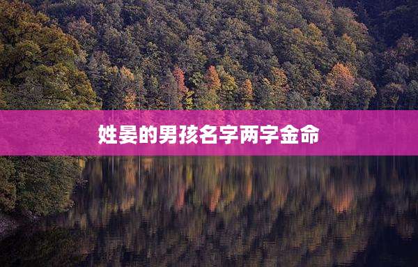 姓晏的男孩名字两字金命