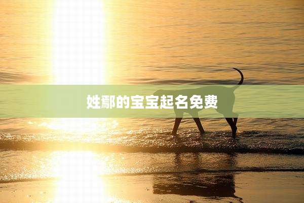姓鄢的宝宝起名免费
