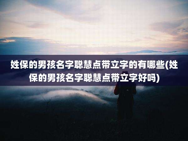 姓保的男孩名字聪慧点带立字的有哪些(姓保的男孩名字聪慧点带立字好吗)