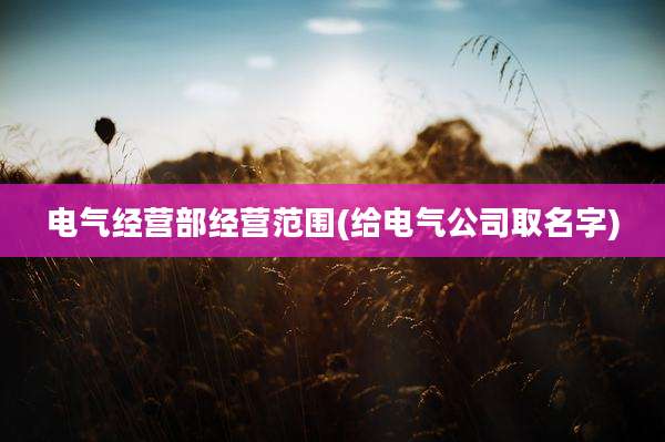 电气经营部经营范围(给电气公司取名字)