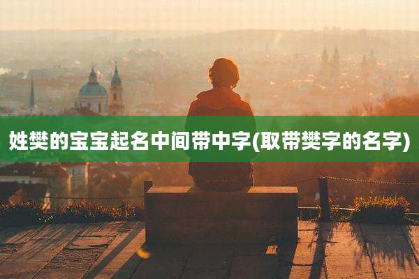 姓樊的宝宝起名中间带中字(取带樊字的名字)