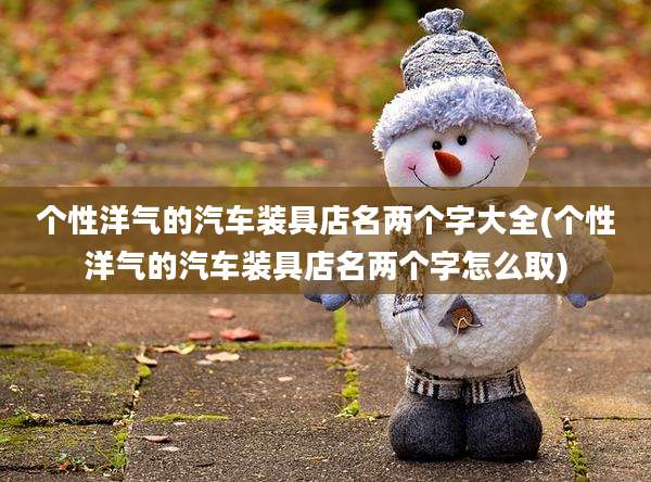 个性洋气的汽车装具店名两个字大全(个性洋气的汽车装具店名两个字怎么取)