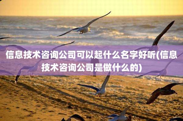 信息技术咨询公司可以起什么名字好听(信息技术咨询公司是做什么的)