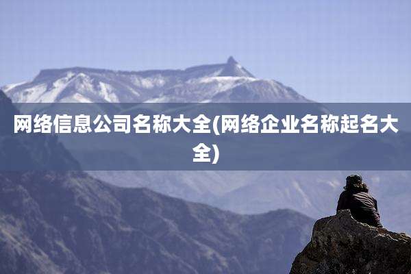 网络信息公司名称大全(网络企业名称起名大全)