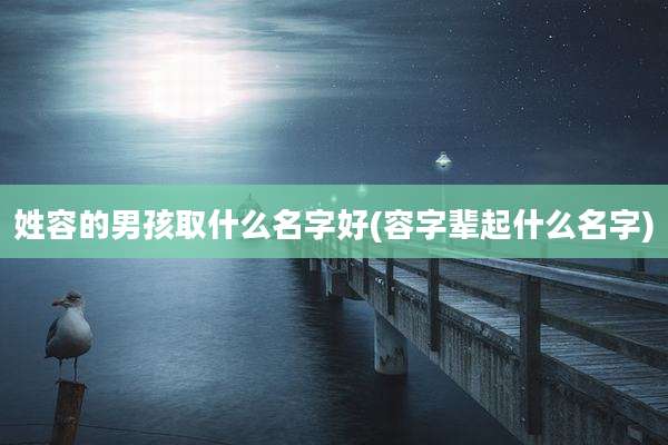姓容的男孩取什么名字好(容字辈起什么名字)