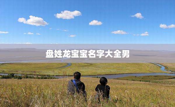 盘姓龙宝宝名字大全男